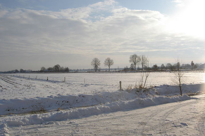 ViewWinter