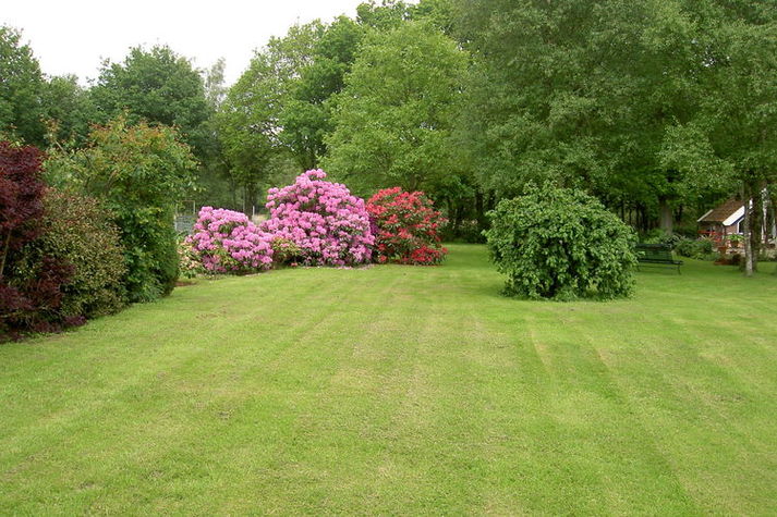 GardenSummer