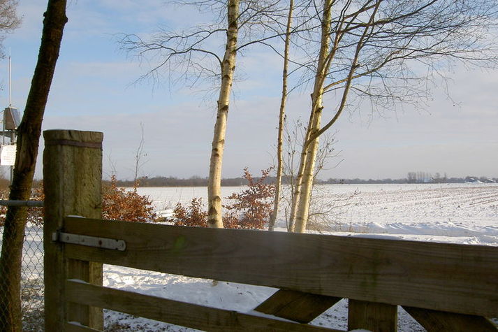 AreaWinter1KM
