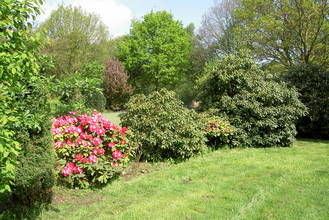 GardenSummer