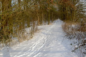 AreaWinter5KM