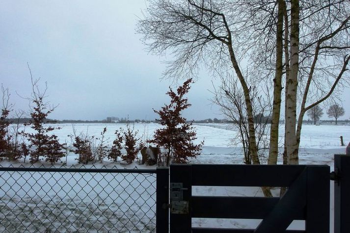 ViewWinter