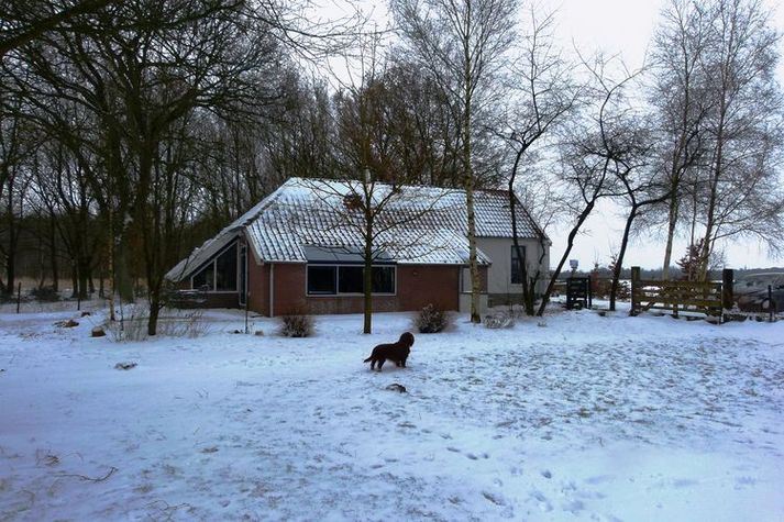 ExteriorWinter