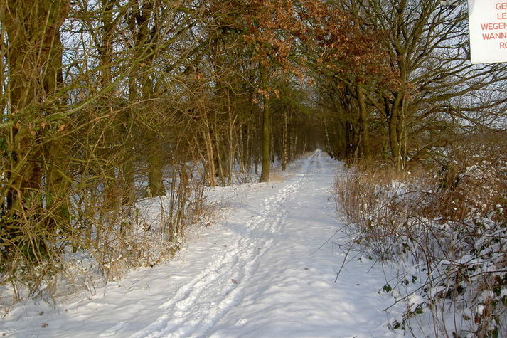AreaWinter1KM