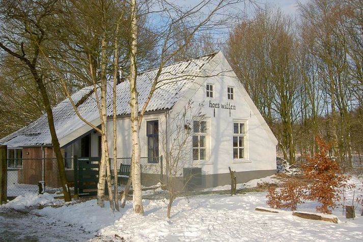 ExteriorWinter