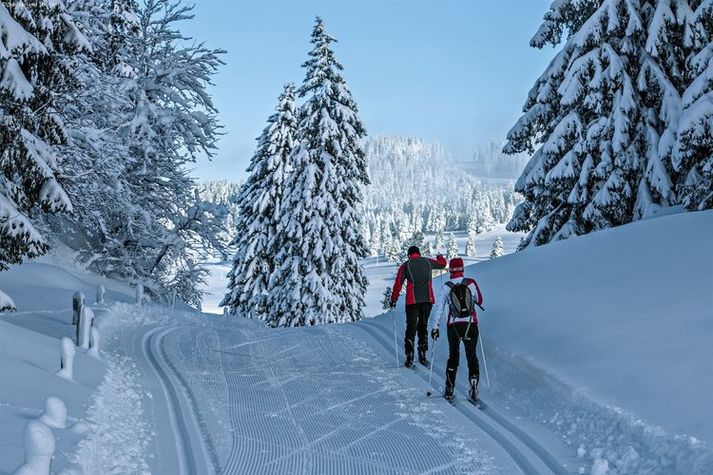 AreaWinter5KM