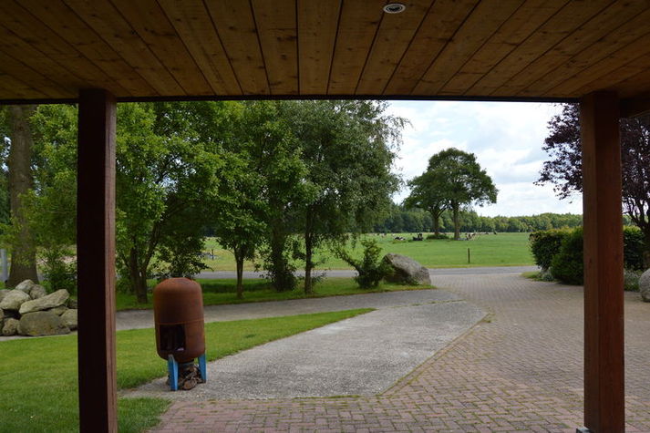 ViewSummer
