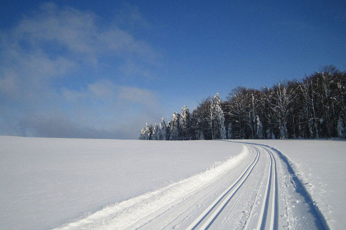 AreaWinter5KM