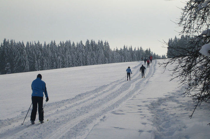 AreaWinter5KM
