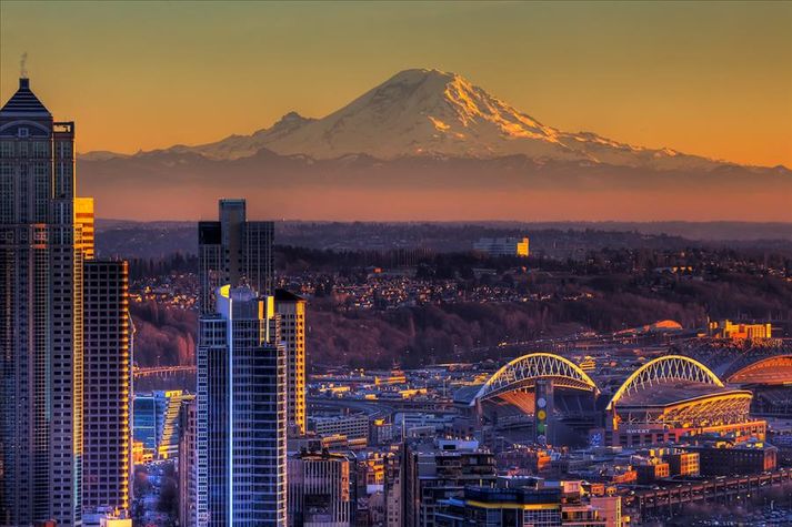 Seattle Skyline Stay Alfred
Seattle Skyline Stay Alfred