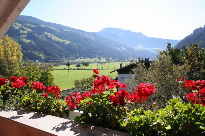ViewSummer