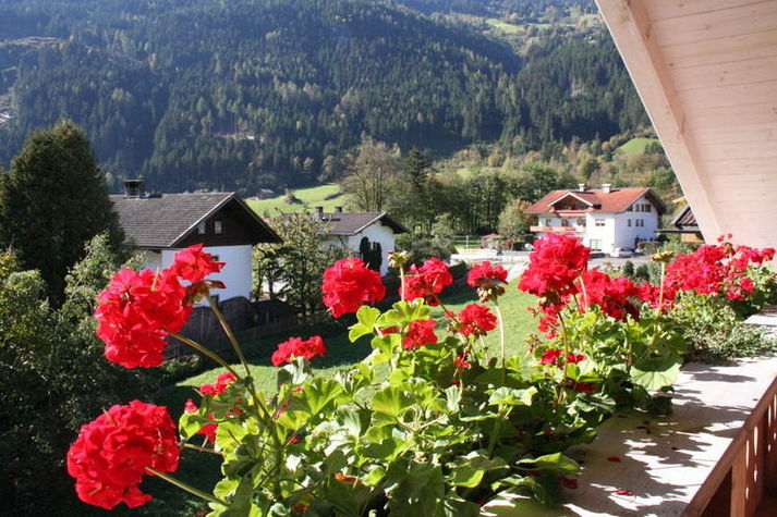 ViewSummer