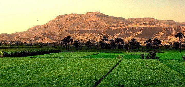 From Nile cruises