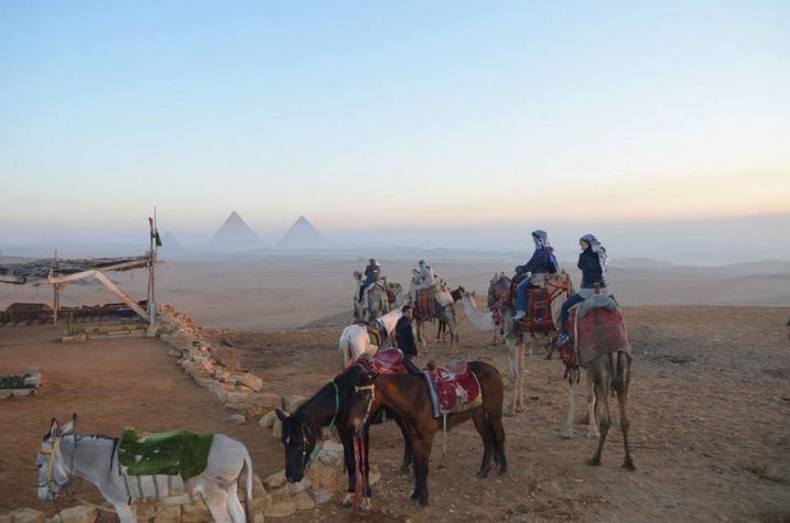 Meet bedouins