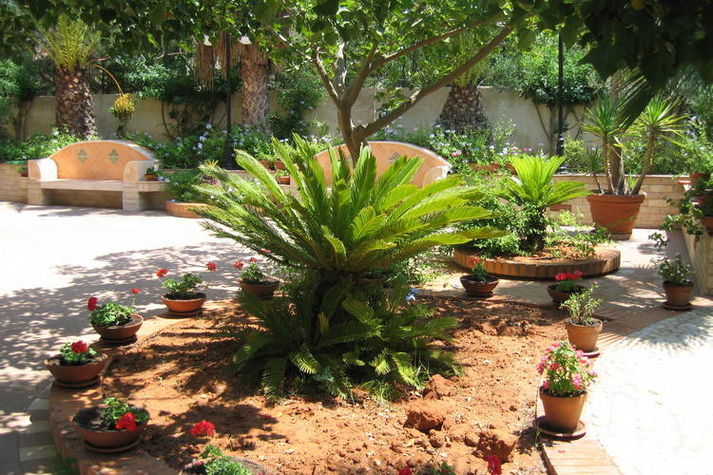GardenSummer