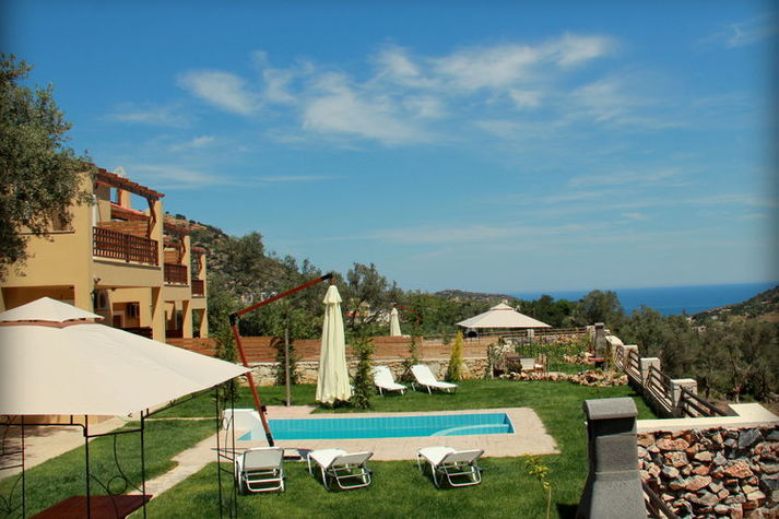 ViewSummer