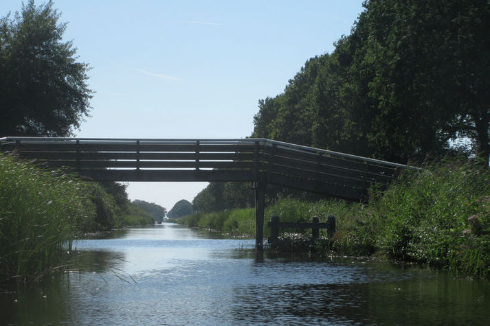 AreaSummer1KM