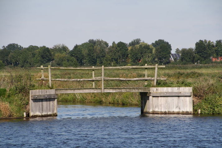 AreaSummer1KM