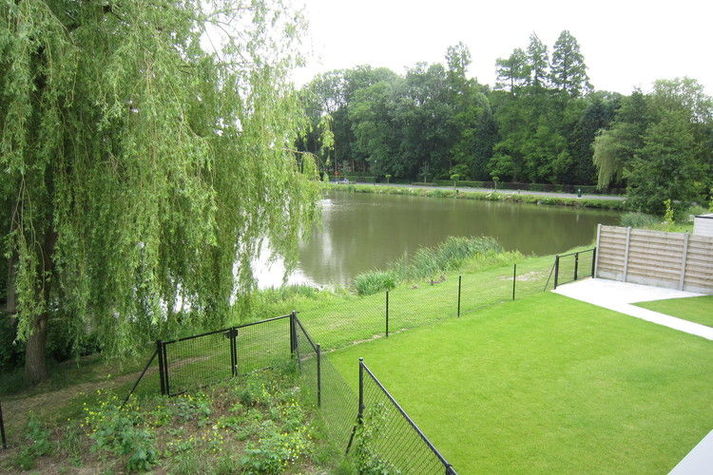 ViewSummer