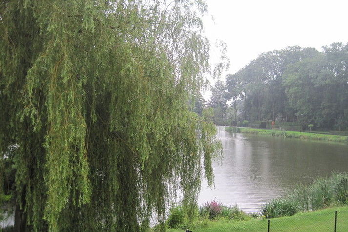 ViewSummer