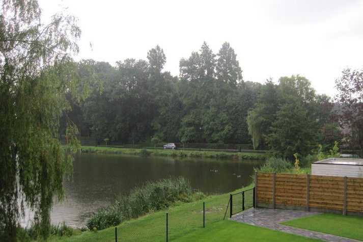 ViewSummer