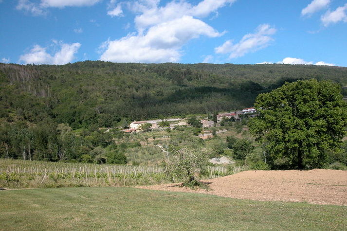 ViewSummer