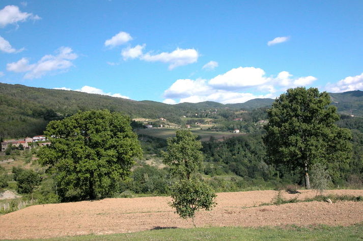 ViewSummer