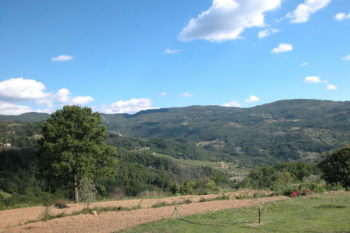 ViewSummer
