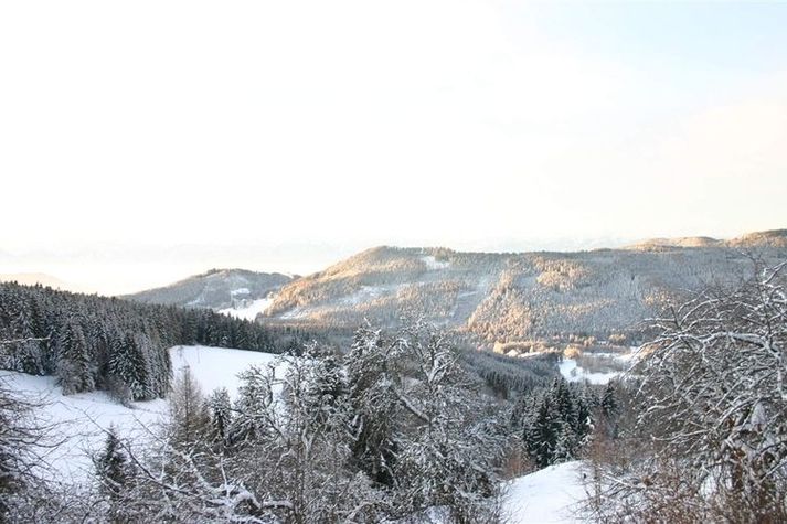 ViewWinter