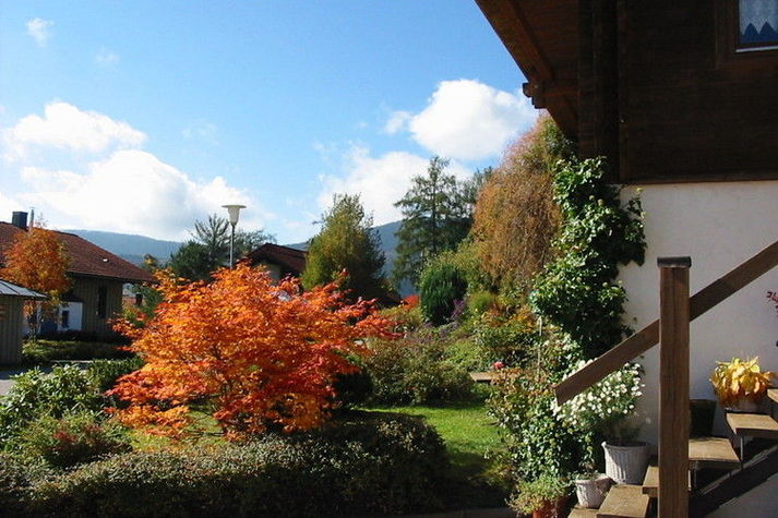GardenSummer