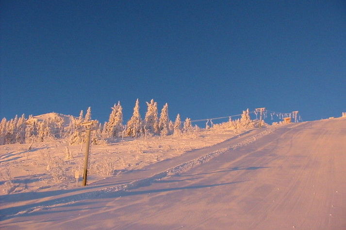 GardenWinter