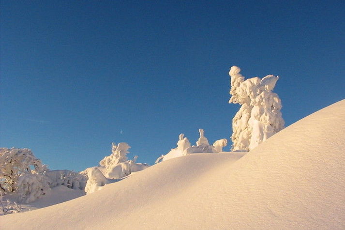 GardenWinter