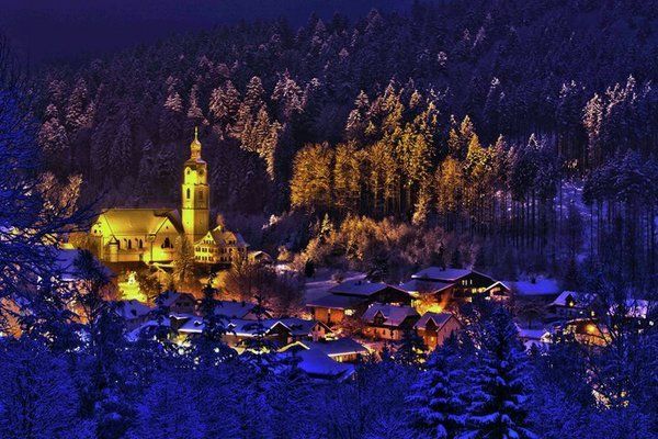 GardenWinter