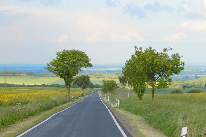 AreaSummer20KM