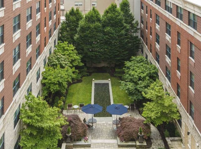 View of the botanical courtyard from the building
