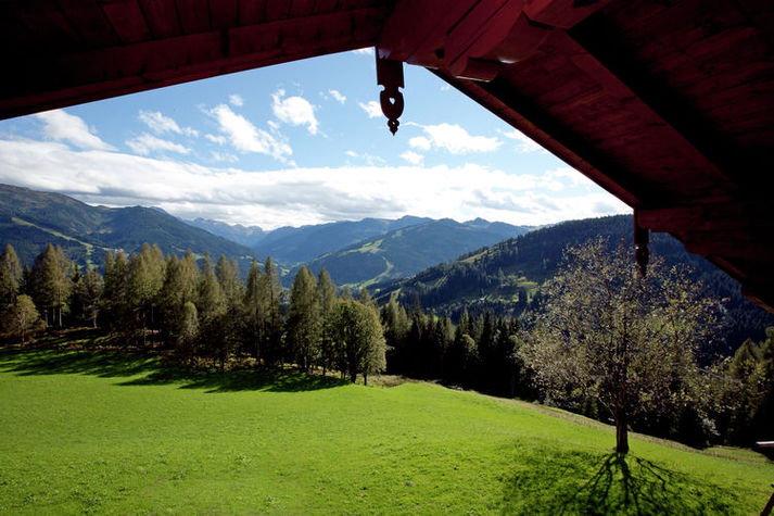 ViewSummer