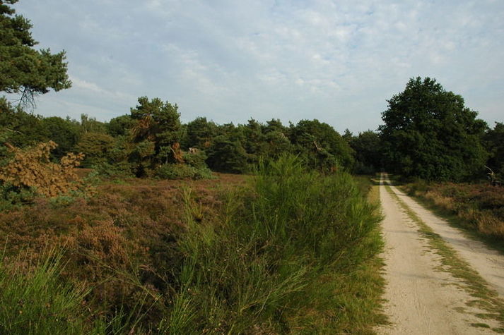 AreaSummer20KM