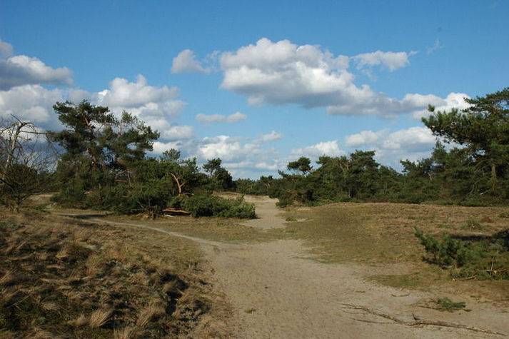 AreaSummer20KM
