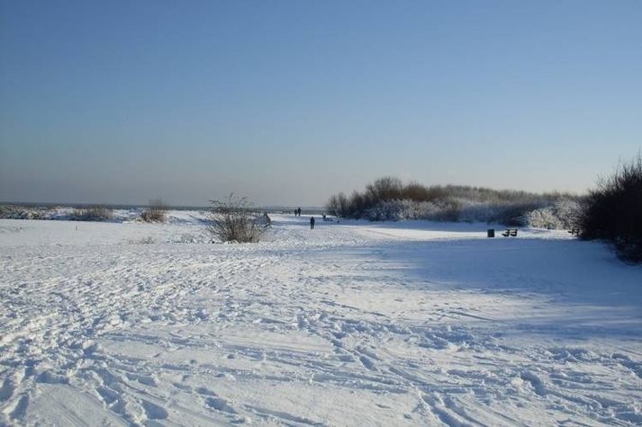 AreaWinter1KM