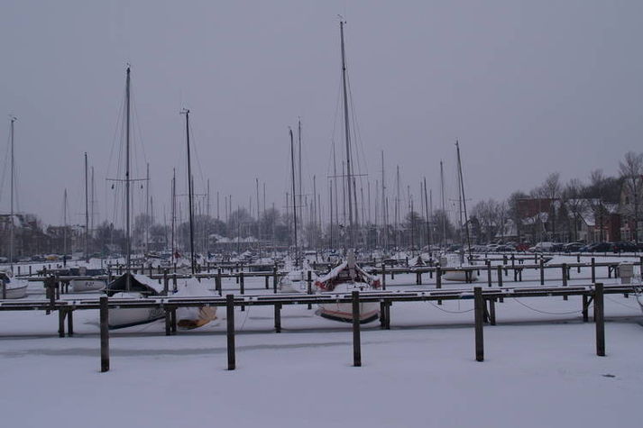 AreaWinter1KM