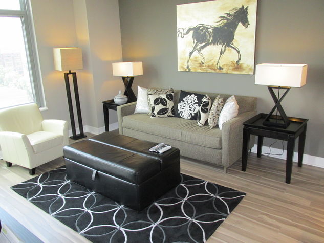 Fully-Furnished Living Room with Pullout Sleeper-Sofa