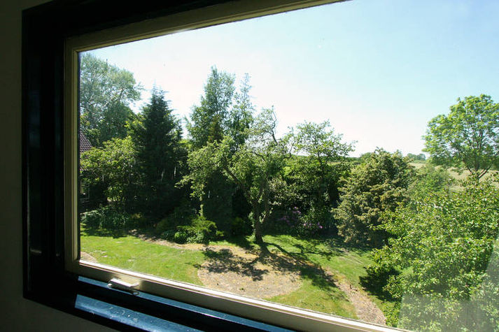 ViewSummer
