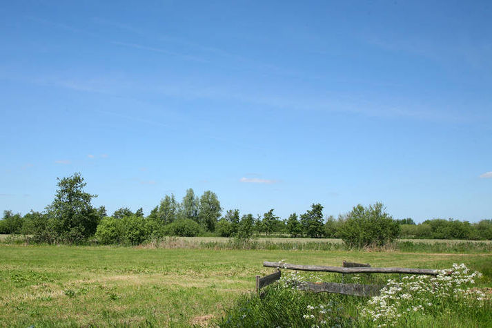AreaSummer1KM