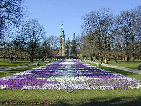 The Royal Garden