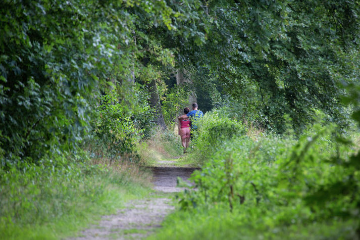 AreaSummer20KM