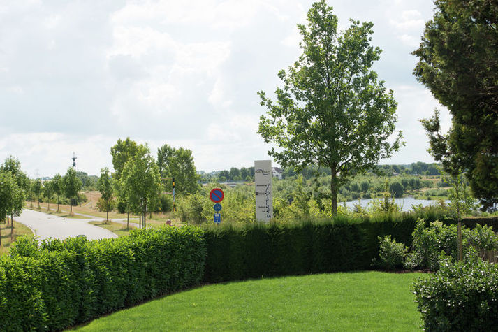 GardenSummer