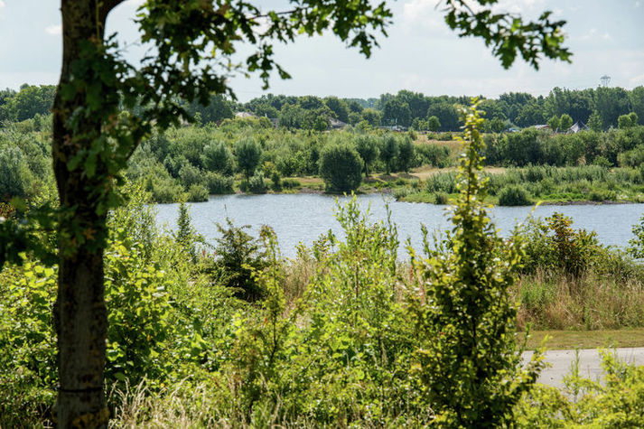 ViewSummer