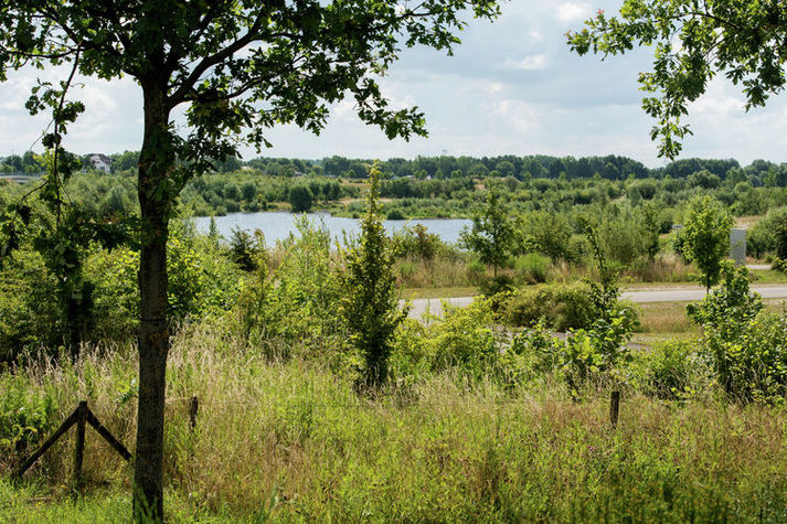 ViewSummer