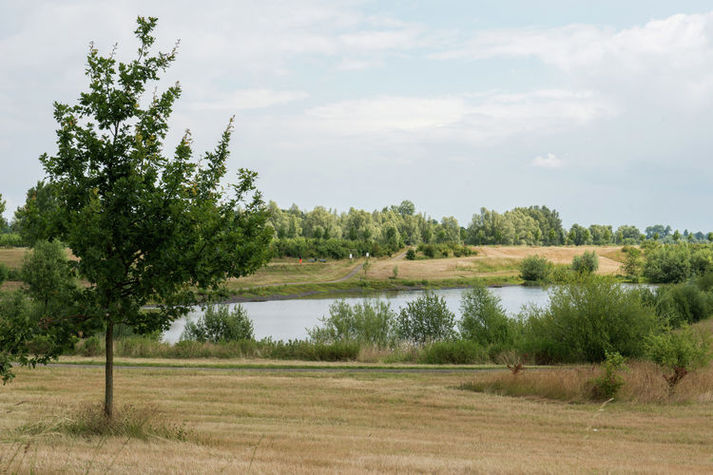 AreaSummer1KM