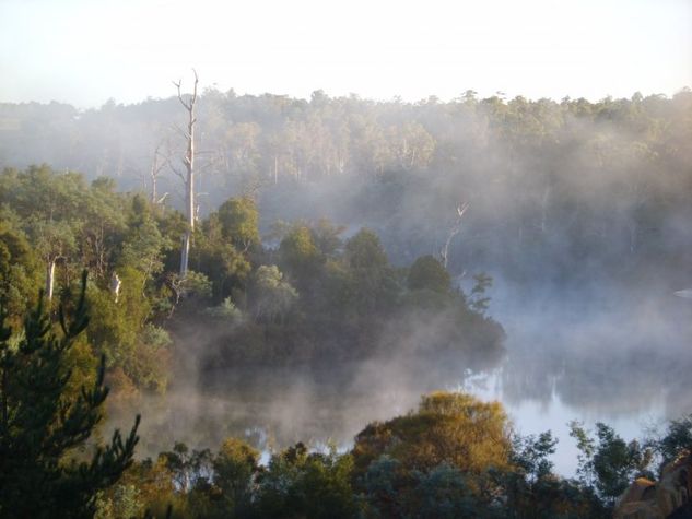 River with fog